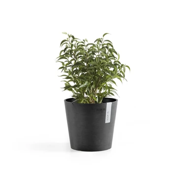 Pot amsterdam d17cm donkergrijs sfeerfotos, Ecopots, tuincentrumoutlet.com