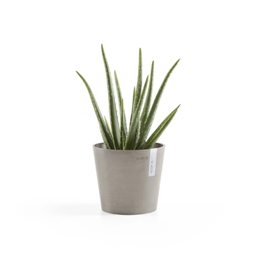 Pot amsterdam d17cm taupe serie, Ecopots, tuincentrumoutlet.com