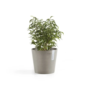 Pot amsterdam d17cm taupe sfeerbeeld, Ecopots, tuincentrumoutlet.com