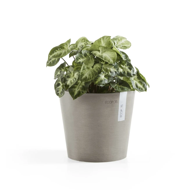 Pot amsterdam d17cm taupe sfeerbeelden, Ecopots, tuincentrumoutlet.com