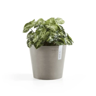 Pot amsterdam d17cm taupe sfeerbeelden, Ecopots, tuincentrumoutlet.com