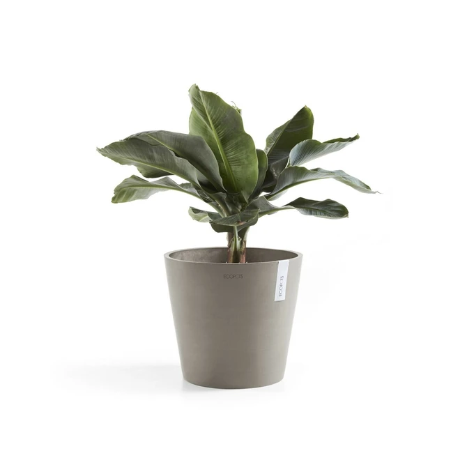 Pot amsterdam d25cm taupe met plant, Ecopots, tuincentrumoutlet.com