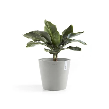 Pot amsterdam d25cm witgrijs met plant, Ecopots, tuincentrumoutlet.com