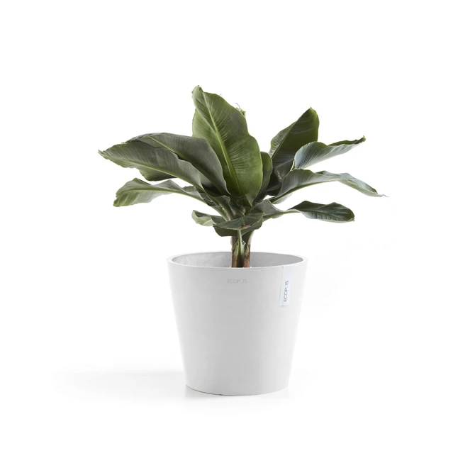 Pot amsterdam d40cm puur wit sfeer, Ecopots, tuincentrumoutlet.com