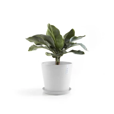 Pot amsterdam d40cm puur wit sfeerfoto, Ecopots, tuincentrumoutlet.com