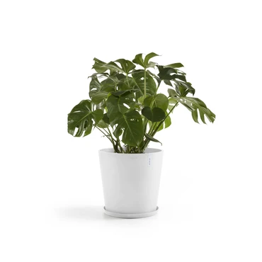 Pot amsterdam d50cm puur wit sfeerfoto, Ecopots, tuincentrumoutlet.com