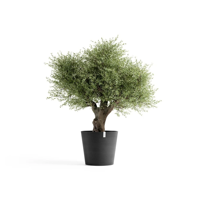 Pot amsterdam d70cm donkergrijs met plant, Ecopots, tuincentrumoutlet.com