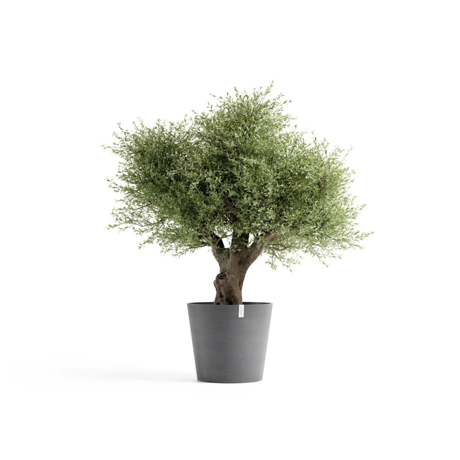 Pot amsterdam d70cm grijs met plant, Ecopots, tuincentrumoutlet.com