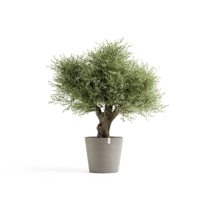 Pot amsterdam d70cm taupe met plant, Ecopots, tuincentrumoutlet.com