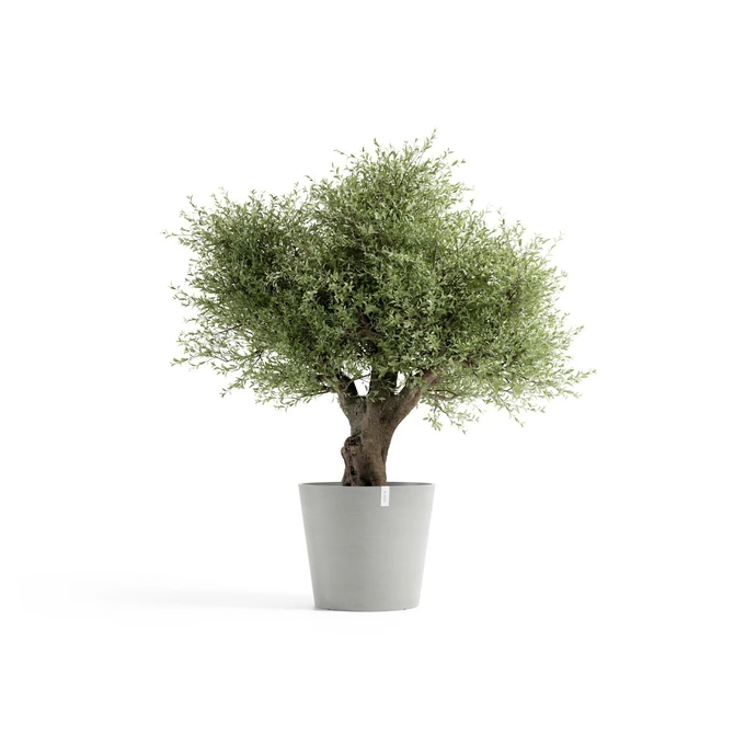 Pot amsterdam d70cm witgrijs met plant, Ecopots, tuincentrumoutlet.com