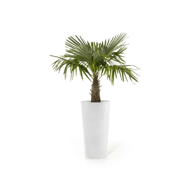 Pot amsterdam midhigh d66cm puur wit sfeer, Ecopots, tuincentrumoutlet.com