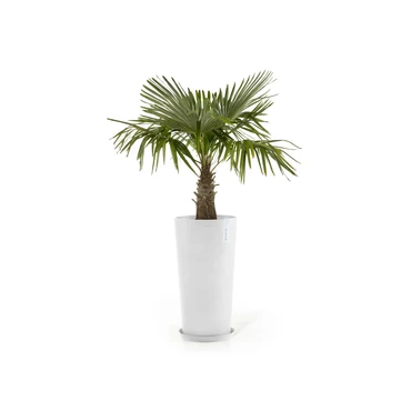 Pot amsterdam midhigh d66cm puur wit sfeerfoto, Ecopots, tuincentrumoutlet.com