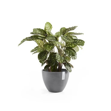 Pot antwerpen grijs d30h26cm, Ecopots, Tuincentrumoutlet