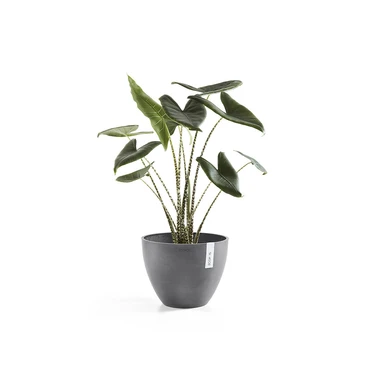 Pot antwerpen grijs d40h30cm, Ecopots, Tuincentrumoutlet