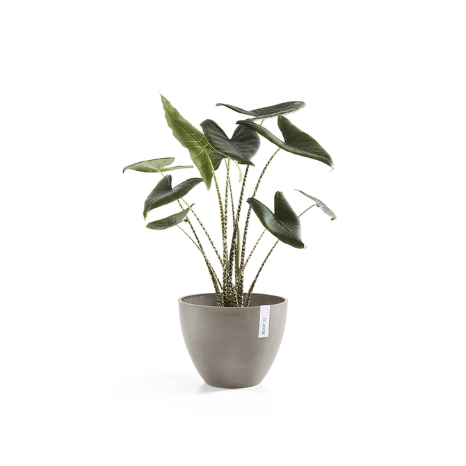 Pot antwerpen taupe d40h30cm sfeer, Ecopots, tuincentrumoutlet