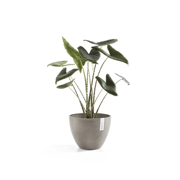 Pot antwerpen taupe d40h30cm sfeer, Ecopots, tuincentrumoutlet