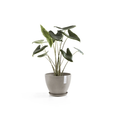 Pot antwerpen taupe d40h30cm sfeerfoto, Ecopots, tuincentrumoutlet