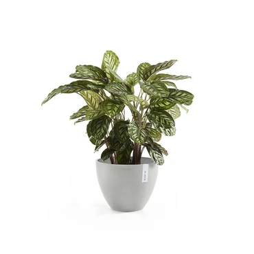 Pot antwerpen witgrijs d30h26cm, Tuincentrumoutlet, Ecopots