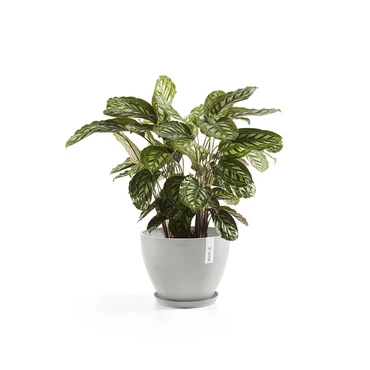 Pot antwerpen witgrijs d30h26cm, Tuincentrumoutlet, Ecopots