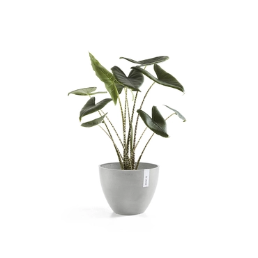 Pot antwerpen witgrijs d40h30cm sfeer, Ecopots, tuincentrumoutlet