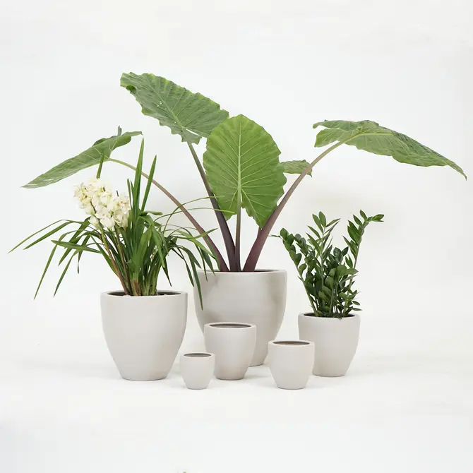 Pot athene d50h50cm beige - afbeelding 5