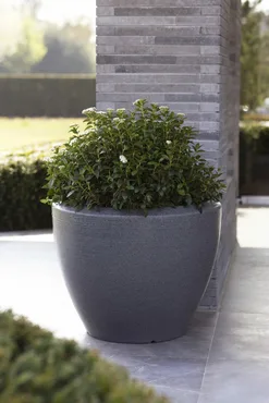 Pot bol granite Arc d114h90cm antraciet sfeer, Capi Europe, tuincentrumoutlet