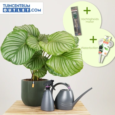 Pot bol groove d23h21cm groen, copmbideal,  capi, www.tuincentrumoutlet.com