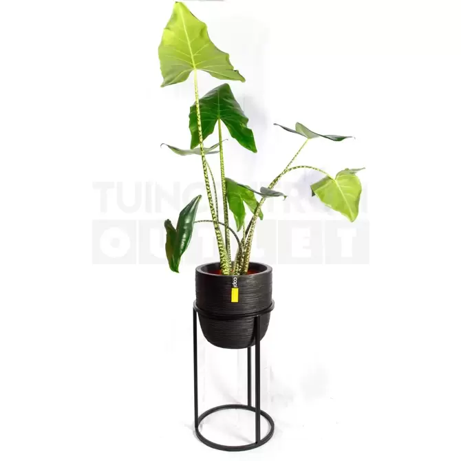 Pot bol Rib NL Ø35 H34 zwart met standaard - afbeelding 7