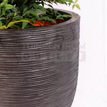 Pot bol Rib NL 43x41 zwart + Nandina - afbeelding 3