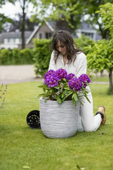 Planter ball Rib NL 54x52 ivory sfeer, Capi Europe, tuincentrumoutlet