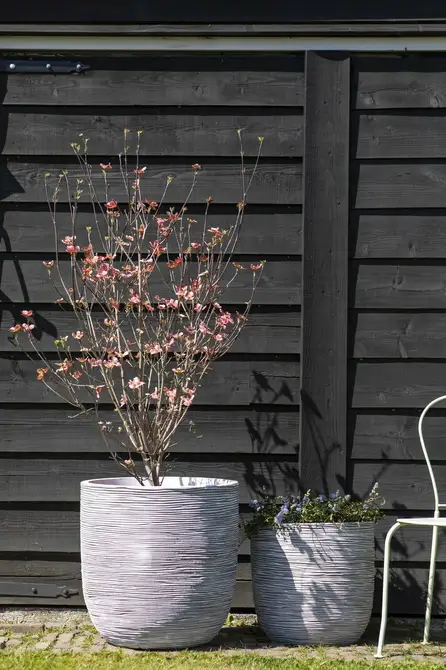 Planter ball Rib NL 54x52 ivory sfeerbeeld, Capi Europe, tuincentrumoutlet