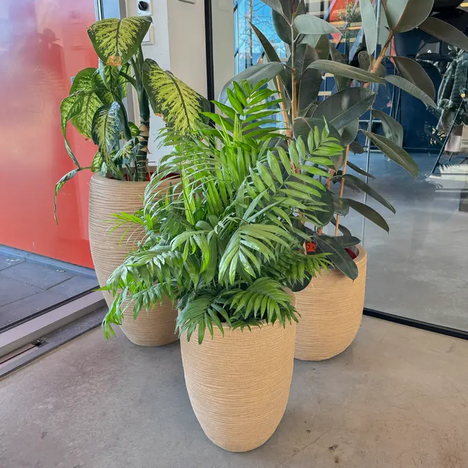 Pot bol rib nl d35h34cm beige - afbeelding 3