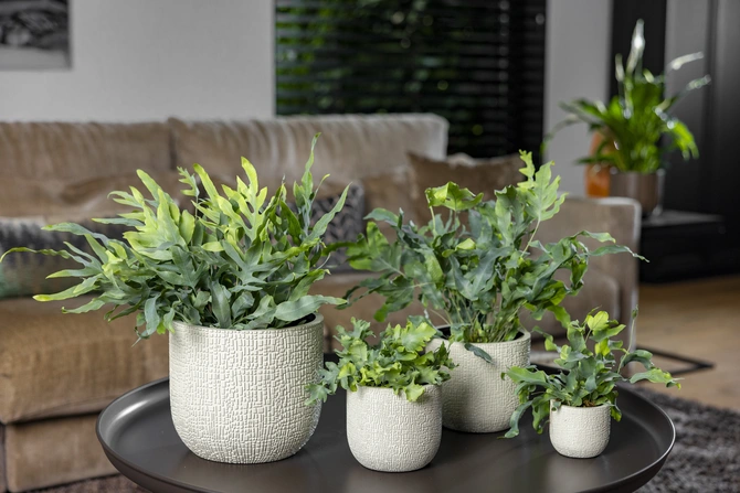 Pot bol Skin beige sfeerbeeld, Capi Europe, tuincentrumoutlet