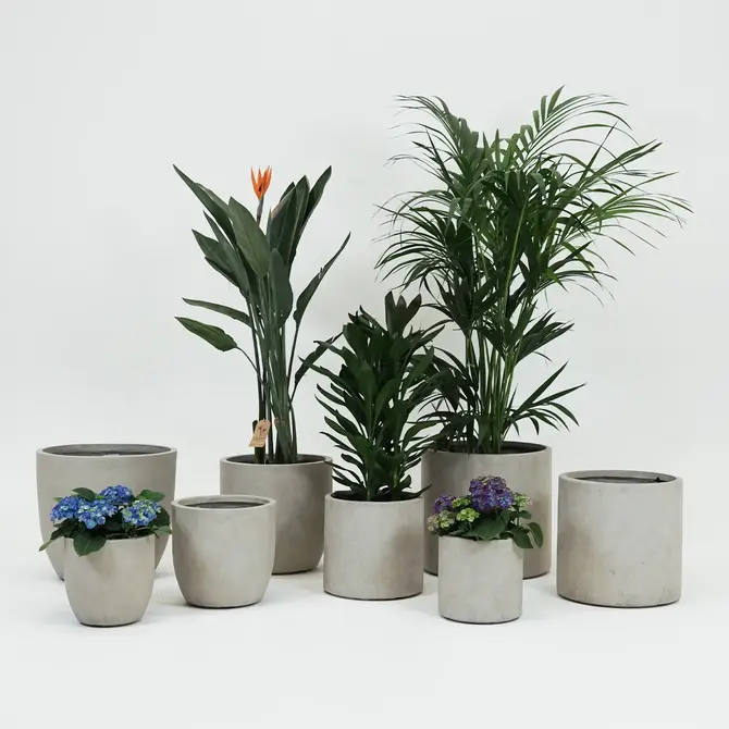 Pot cilinder cf d54h51cm zand sfeer, Mega Collections, tuincentrumoutlet.com