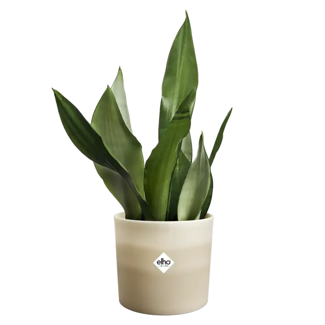 Pot colour gradient d18cm beige - afbeelding 3