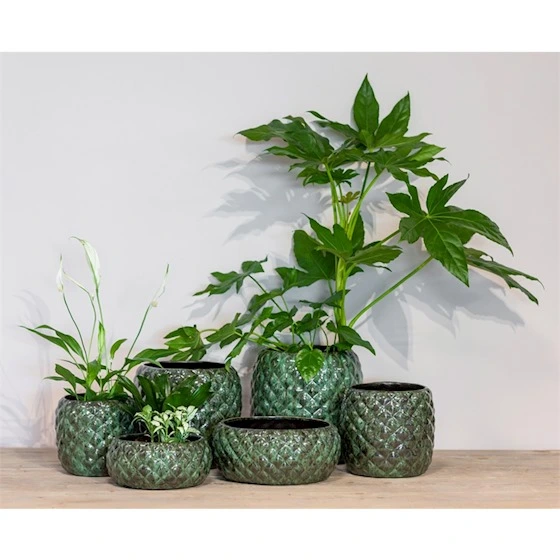 Pot eliah d22h20cm groen - afbeelding 2