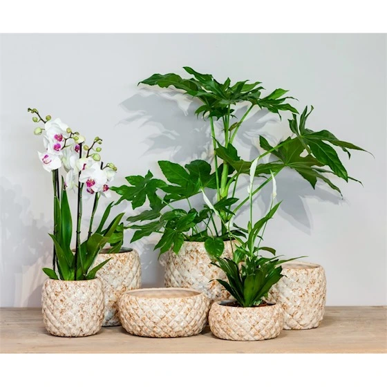 Pot eliah d24h23cm creme - afbeelding 2