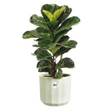 Pot facet d17cm theegroen - afbeelding 3