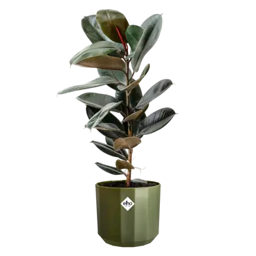 Pot facet d19cm bos groen - afbeelding 3