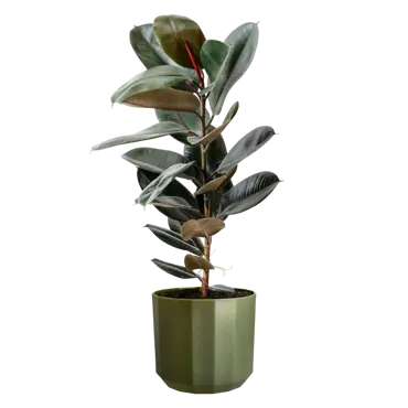 Pot facet d23cm bos groen - afbeelding 4