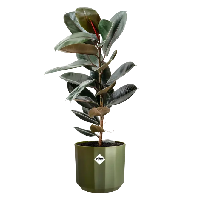 Pot facet d26cm bos groen - afbeelding 3