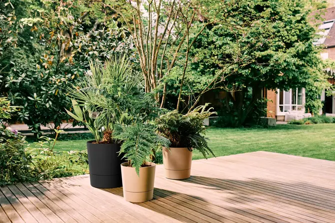 Pot foss d30cm living black sfeerbeeld, Elho, tuincentrumoutlet.com