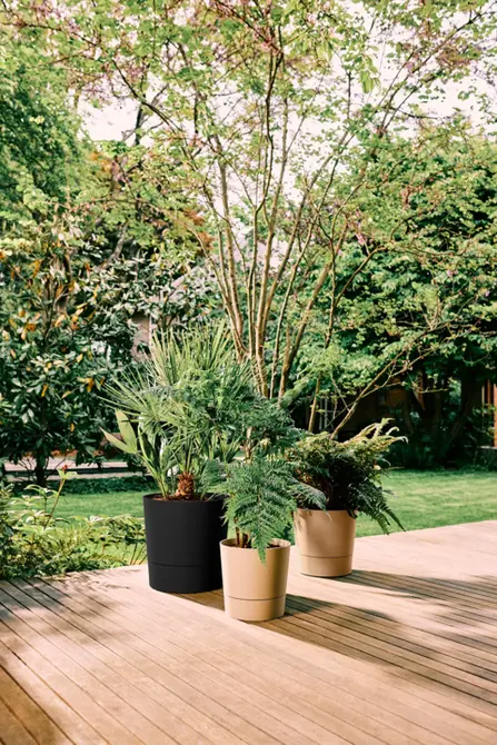 Pot foss d43cm paddenstoel beige met wielen sfeerbeeld, Elho, tuincentrumoutlet.com