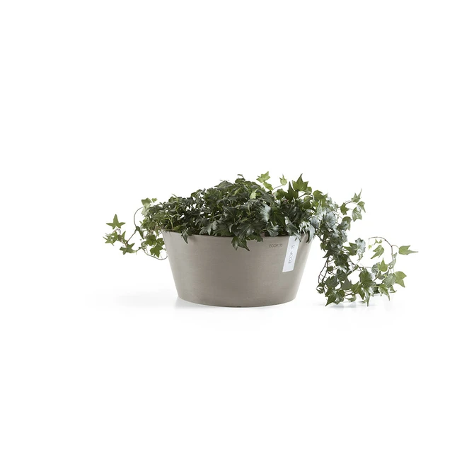 Pot frankfurt d30cm taupe met plant, Ecopots, tuincentrumoutlet.com