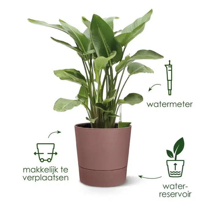 greensense aqua care rond 35cm licht beton USP'S, Elho, tuincentrumoutlet