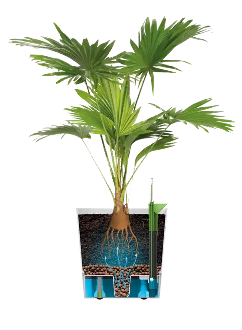 greensense aqua care vierkant 38cm houtskoolgrijs detail, Elho, tuincentrumoutlet