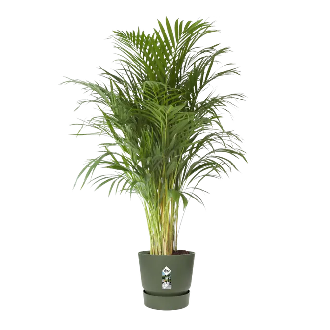 Pot greenville d40cm bladgroen sfeer, Elho, tuincentrumoutlet.com
