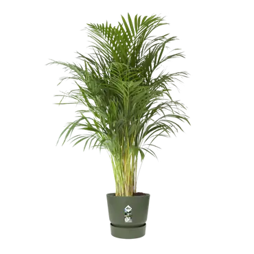 Pot greenville d40cm bladgroen sfeer, Elho, tuincentrumoutlet.com