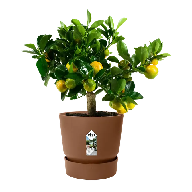 Pot greenville d40cm gember sfeer, Elho, tuincentrumoutlet