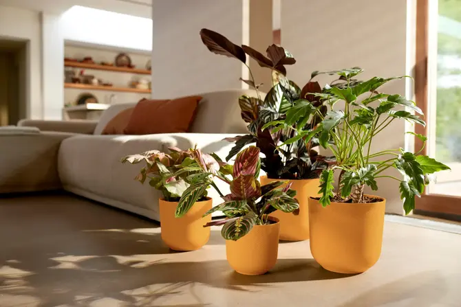 Pot jazz d30cm amber geel sfeerfoto, Elho, tuincentrumoutlet